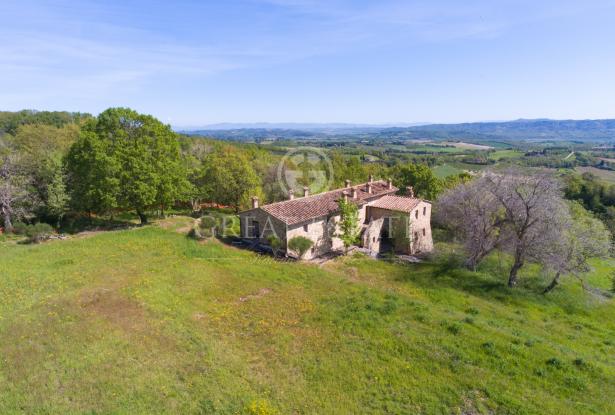 Podere Vallone 1 Podere Vallone 1