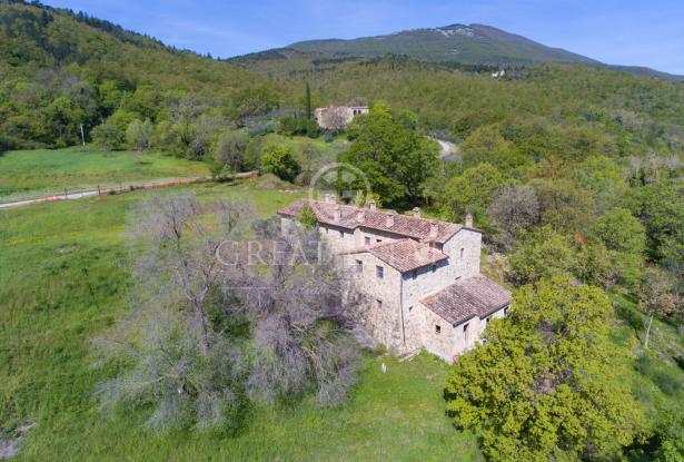 Podere Vallone 10 Podere Vallone 10