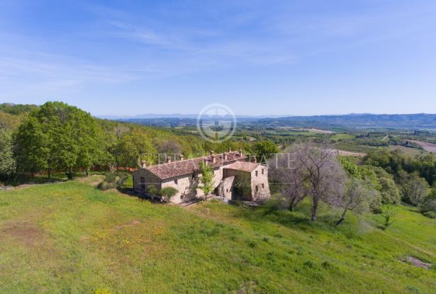 Podere Vallone 12 Podere Vallone 12