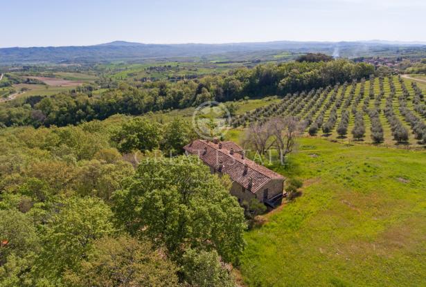 Podere Vallone 13 Podere Vallone 13