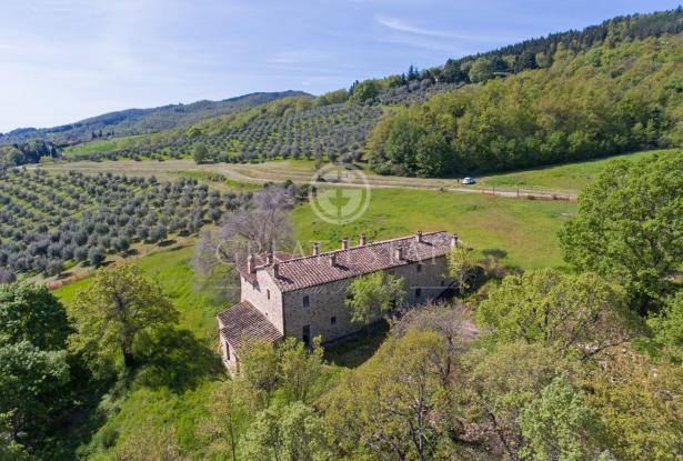 Podere Vallone 14 Podere Vallone 14