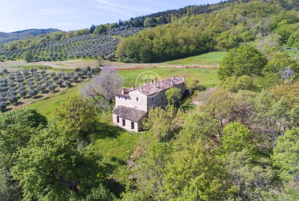 Podere Vallone 15 Podere Vallone 15
