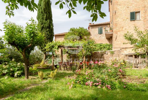 Il giardino d'estate nel Borgo 2 Il giardino d'estate nel Borgo 2
