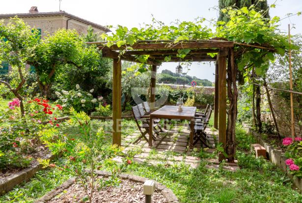 Il giardino d'estate nel Borgo 5 Il giardino d'estate nel Borgo 5