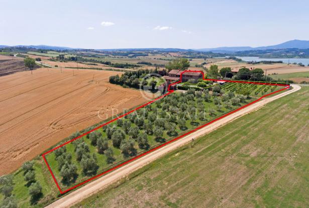 Podere Red Brick 4 Podere Red Brick 4