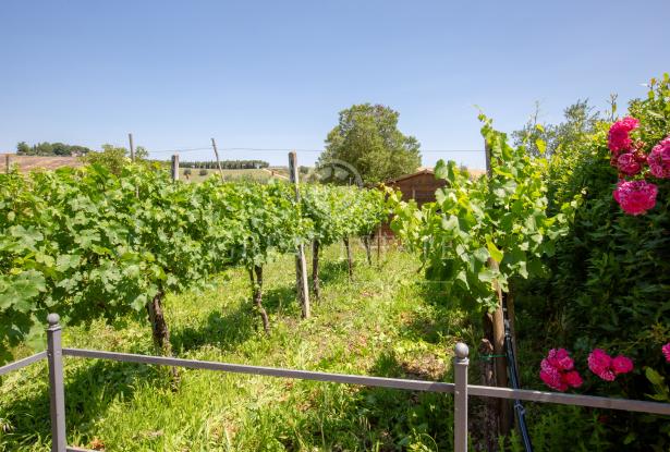 Podere Red Brick 15 Podere Red Brick 15