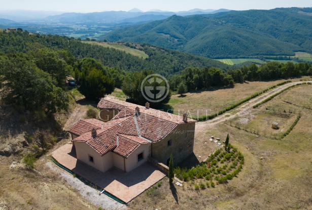 Podere la Tolfa 1 Podere la Tolfa 1