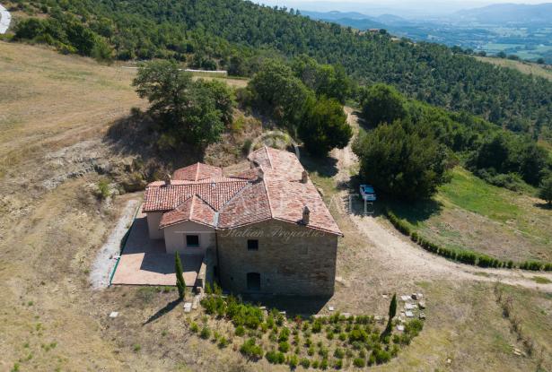 Podere la Tolfa 7 Podere la Tolfa 7