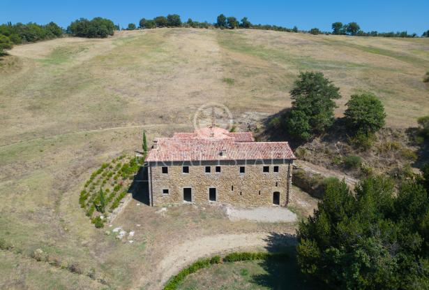 Podere la Tolfa 10 Podere la Tolfa 10