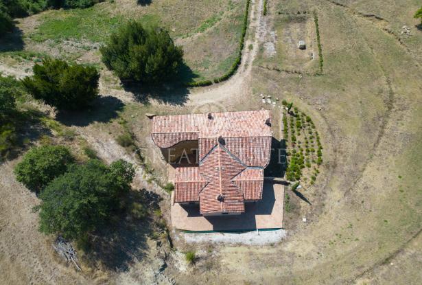 Podere la Tolfa 11 Podere la Tolfa 11