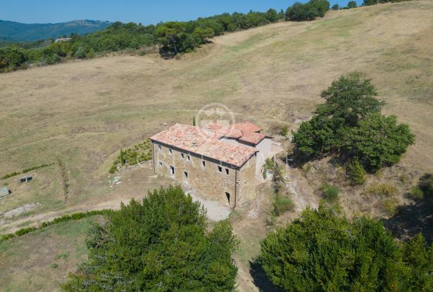 Podere la Tolfa 12 Podere la Tolfa 12