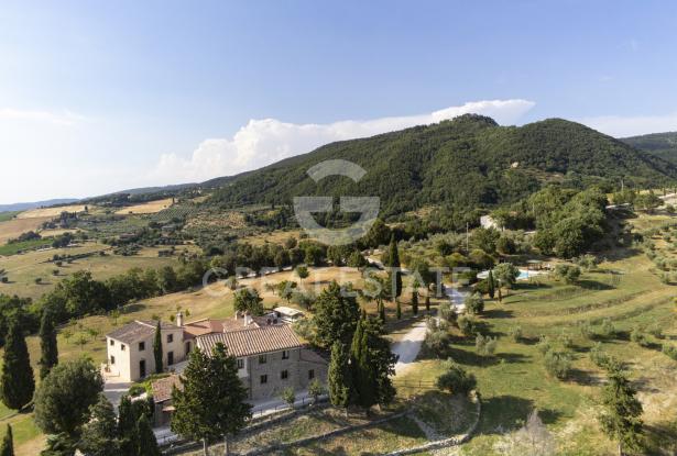 Il diamante della Val d'Orcia 4 Il diamante della Val d'Orcia 4