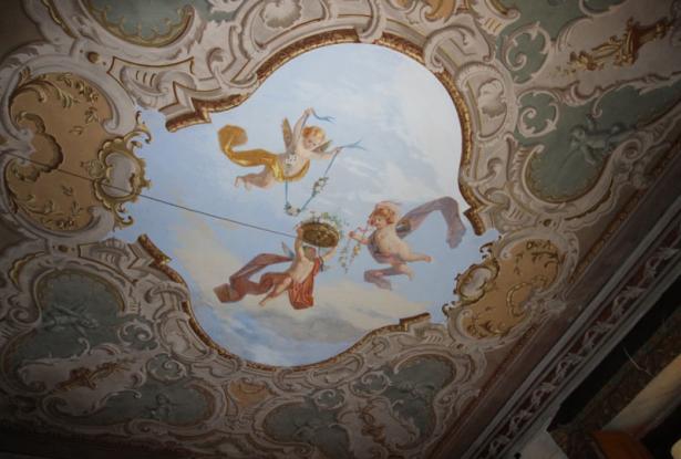 Elegant Historic Villa in Mondovì - MVI010 Elegant Historic Villa in Mondovì - MVI010