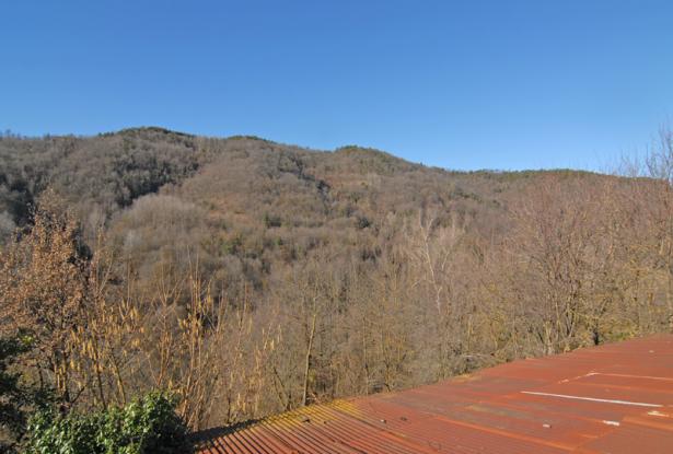 Country House with over 4.5 Hectares of Land in a Hamlet - MZN060 7