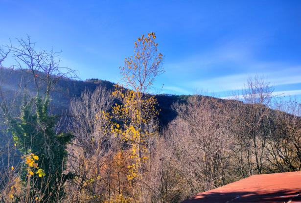 Country House with over 4.5 Hectares of Land in a Hamlet - MZN060 16