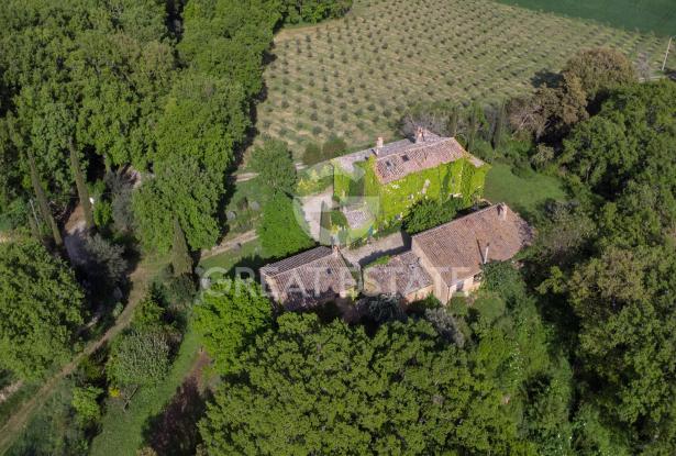 IL CALICE DI FUOCO 11 IL CALICE DI FUOCO 11