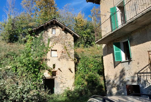 rustico for sale pamparato rustico for sale pamparato
