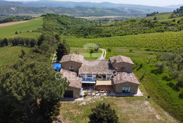 Casale Salceta Boutique Winery 10 Casale Salceta Boutique Winery 10