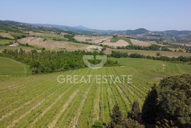 Casale Salceta Boutique Winery 14 Casale Salceta Boutique Winery 14
