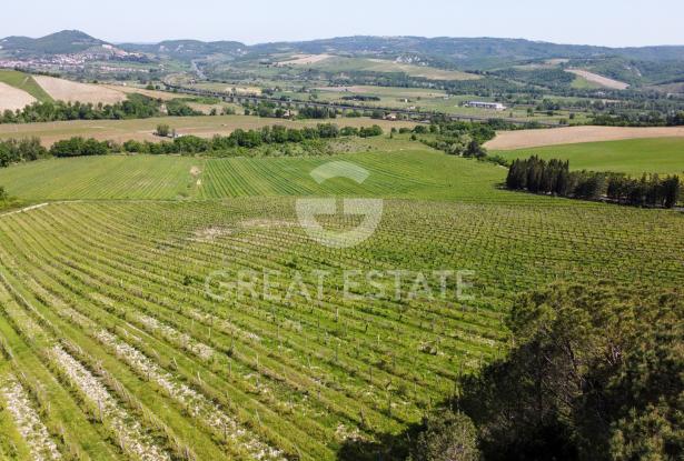 Casale Salceta Boutique Winery 15 Casale Salceta Boutique Winery 15