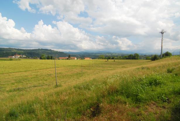 A country house surrounded by over 7 hectares of grounds 1