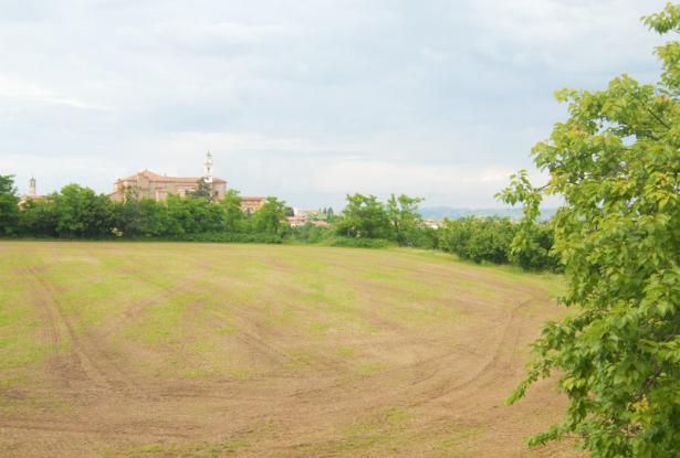 A country house surrounded by over 7 hectares of grounds 16