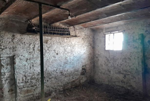 Large farm, in the area of Ceva, with almost 10 hectares of land - CEV004 Large farm, in the area of Ceva, with almost 10 hectares of land - CEV004