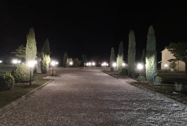 Driveway by Night Driveway by Night