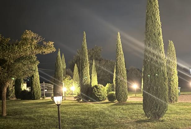 Garden by Night Garden by Night