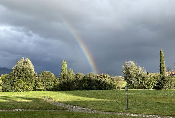 Rainbow Rainbow