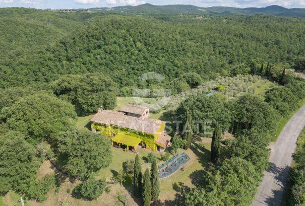 Casale il Pornello 6 Casale il Pornello 6