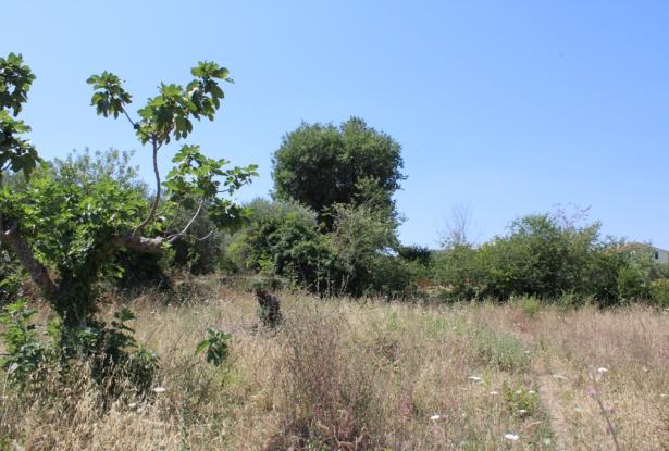 900sqm building plot, flat land, for a Villa of 200sqm with some fruit trees, sea and village views, 200 meters from the center, 8km to the beach  1