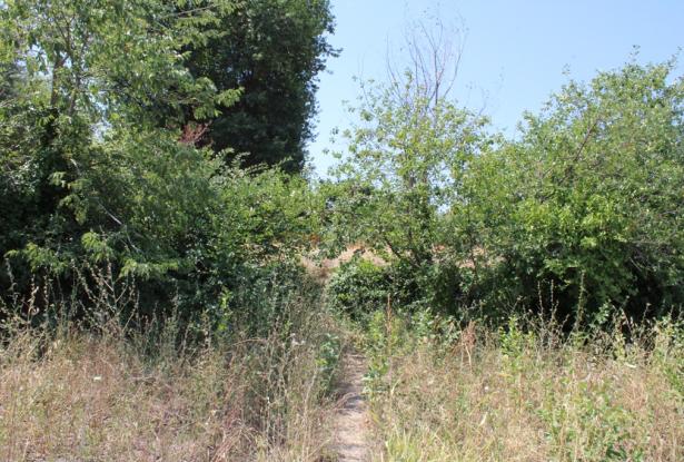 900sqm building plot, flat land, for a Villa of 200sqm with some fruit trees, sea and village views, 200 meters from the center, 8km to the beach  5