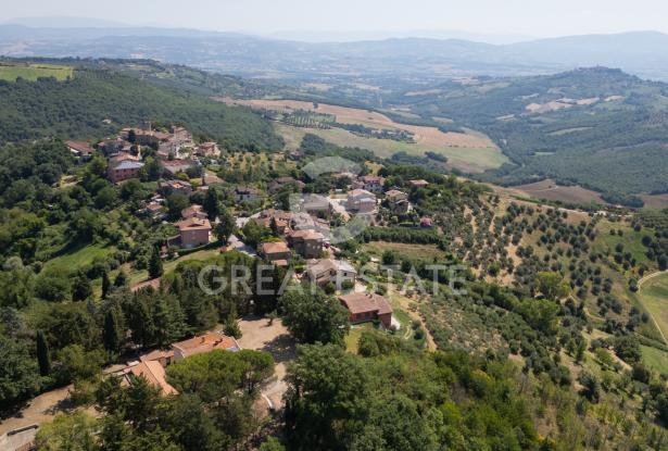 Una finestra sulla natura 2 Una finestra sulla natura 2