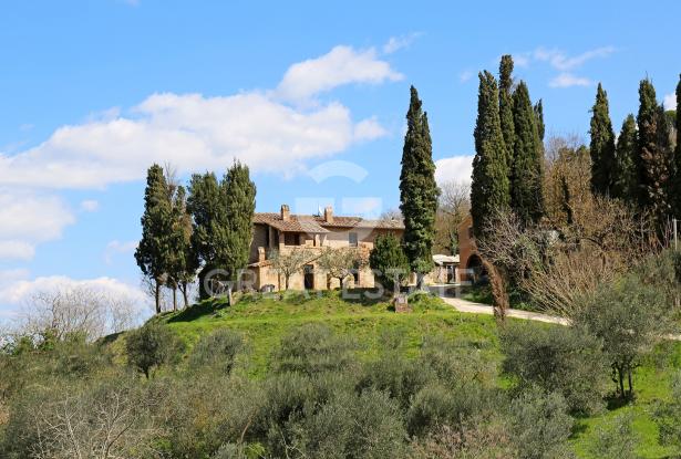 Podere Etrusco 1 Podere Etrusco 1