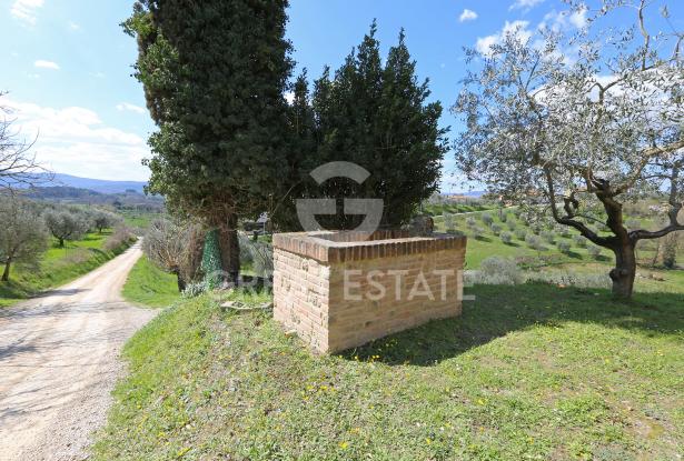 Podere Etrusco 13 Podere Etrusco 13