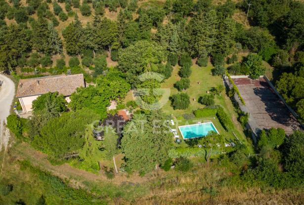 Podere dei tigli 4 Podere dei tigli 4