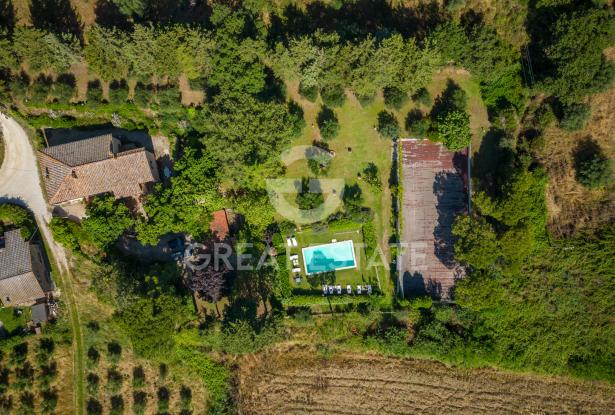 Podere dei tigli 6 Podere dei tigli 6