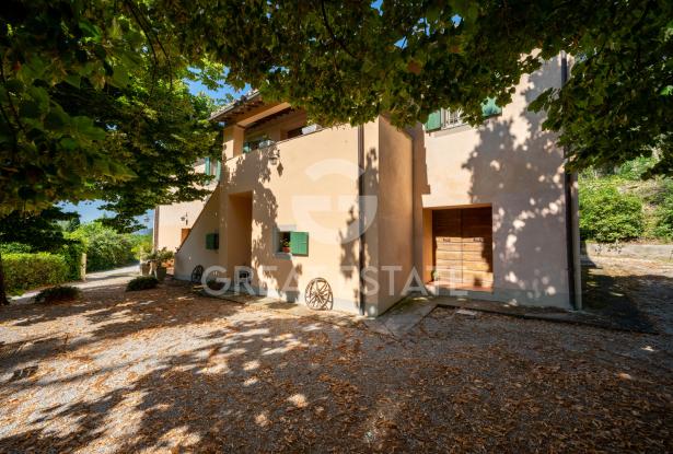 Podere dei tigli 7 Podere dei tigli 7