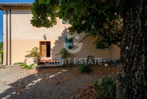 Podere dei tigli 9 Podere dei tigli 9