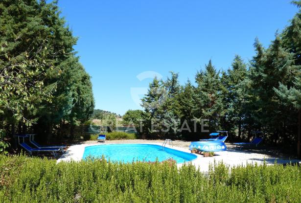 La Dolce Collina 6 La Dolce Collina 6