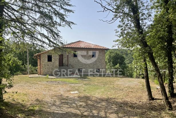 Podere Meletto 5