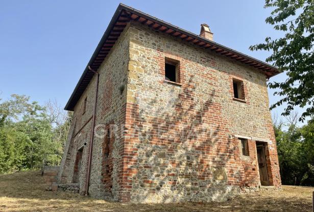 Podere Meletto 1