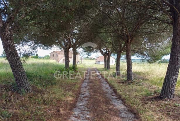 Podere Little Jewel 14 Podere Little Jewel 14