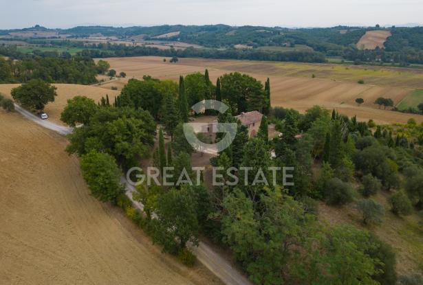 Podere Tarlatello 4 Podere Tarlatello 4