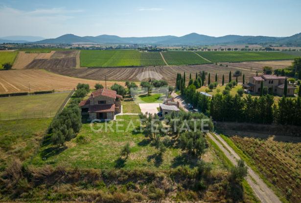 Podere Girasole 15 Podere Girasole 15