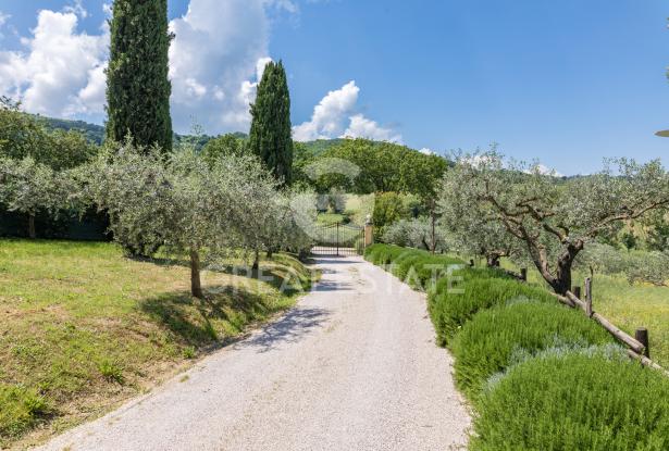 Tenuta Locus Amoenus 7 Tenuta Locus Amoenus 7