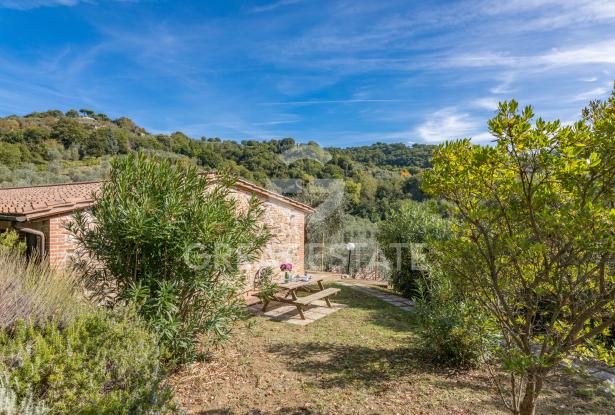 Podere Toscano 15