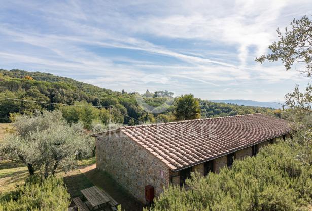 Podere Toscano 1