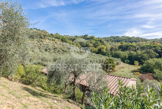 Podere Toscano 11
